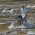 Olivier Chenelle : les Salines de Sarzeau